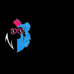 Lion Bear Media Lion Bear Media